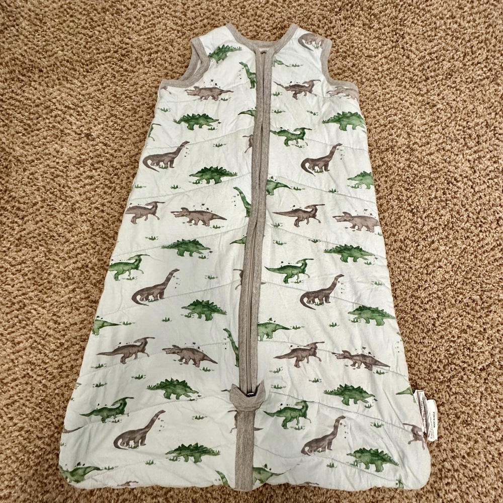 Burt’s Bees Dinosaur Print Baby Sleepsack